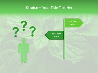 A Close Up Of A Green Leaf Powerpoint Template PowerPoint Template