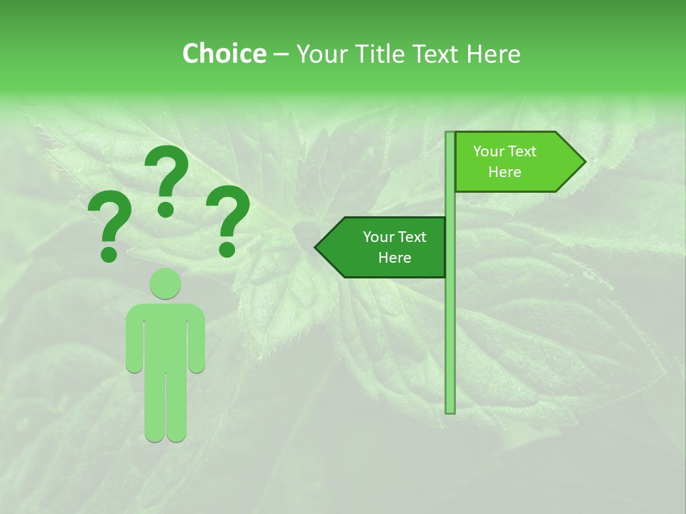 A Close Up Of A Green Leaf Powerpoint Template PowerPoint Template