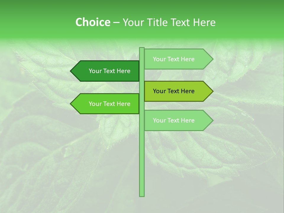 A Close Up Of A Green Leaf Powerpoint Template PowerPoint Template
