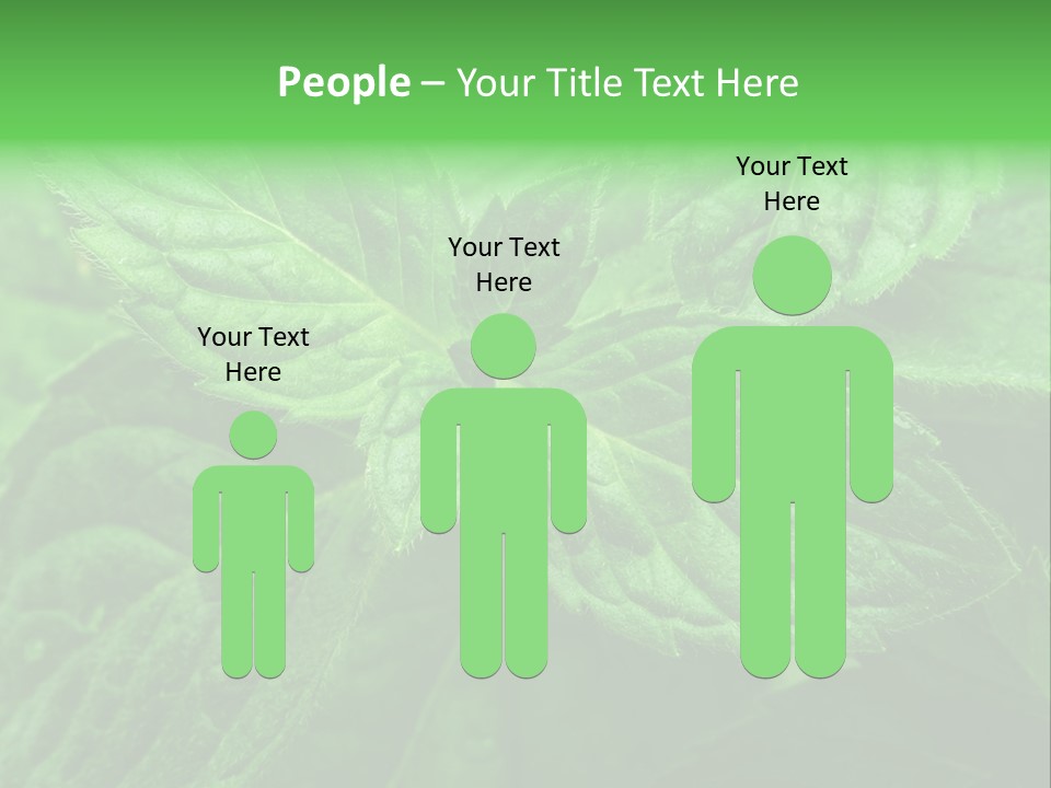 A Close Up Of A Green Leaf Powerpoint Template PowerPoint Template
