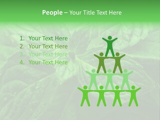 A Close Up Of A Green Leaf Powerpoint Template PowerPoint Template