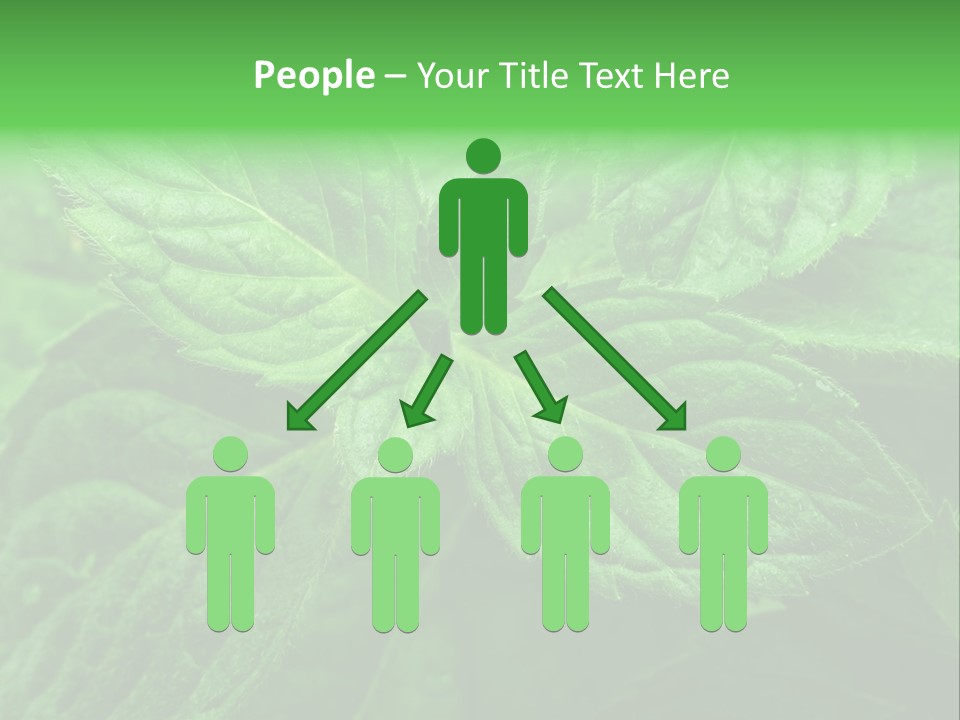 A Close Up Of A Green Leaf Powerpoint Template PowerPoint Template