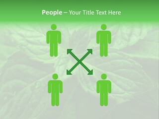 A Close Up Of A Green Leaf Powerpoint Template PowerPoint Template
