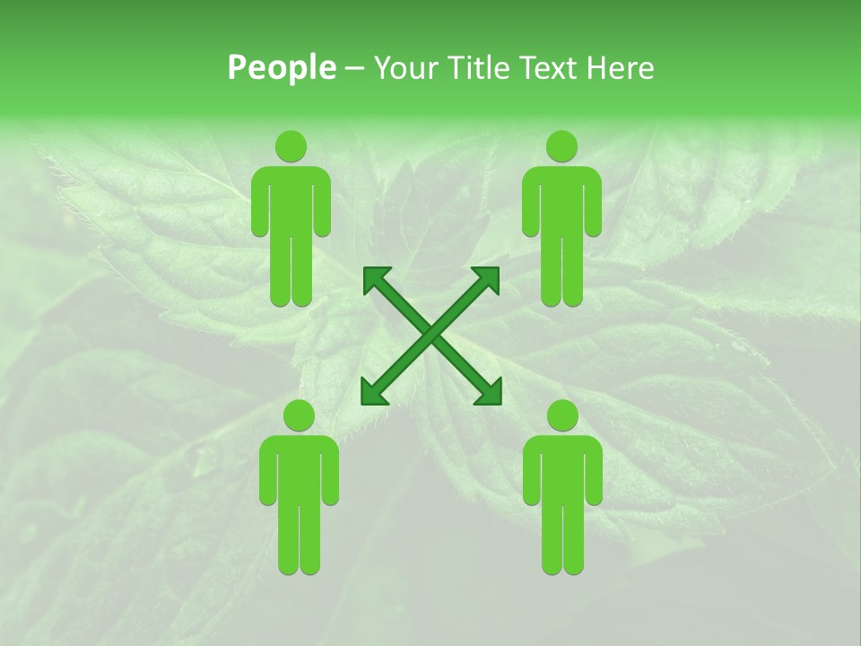 A Close Up Of A Green Leaf Powerpoint Template PowerPoint Template