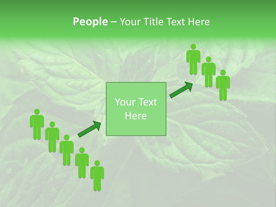 A Close Up Of A Green Leaf Powerpoint Template PowerPoint Template