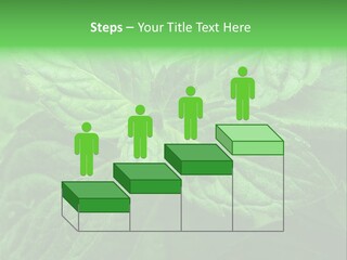 A Close Up Of A Green Leaf Powerpoint Template PowerPoint Template