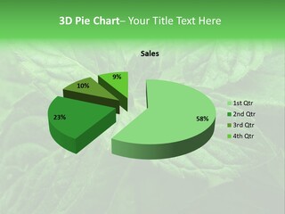 A Close Up Of A Green Leaf Powerpoint Template PowerPoint Template