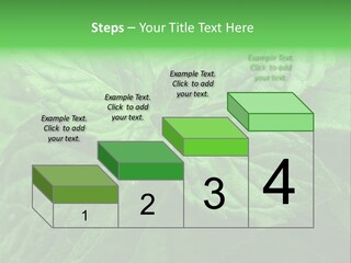 A Close Up Of A Green Leaf Powerpoint Template PowerPoint Template
