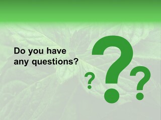 A Close Up Of A Green Leaf Powerpoint Template PowerPoint Template