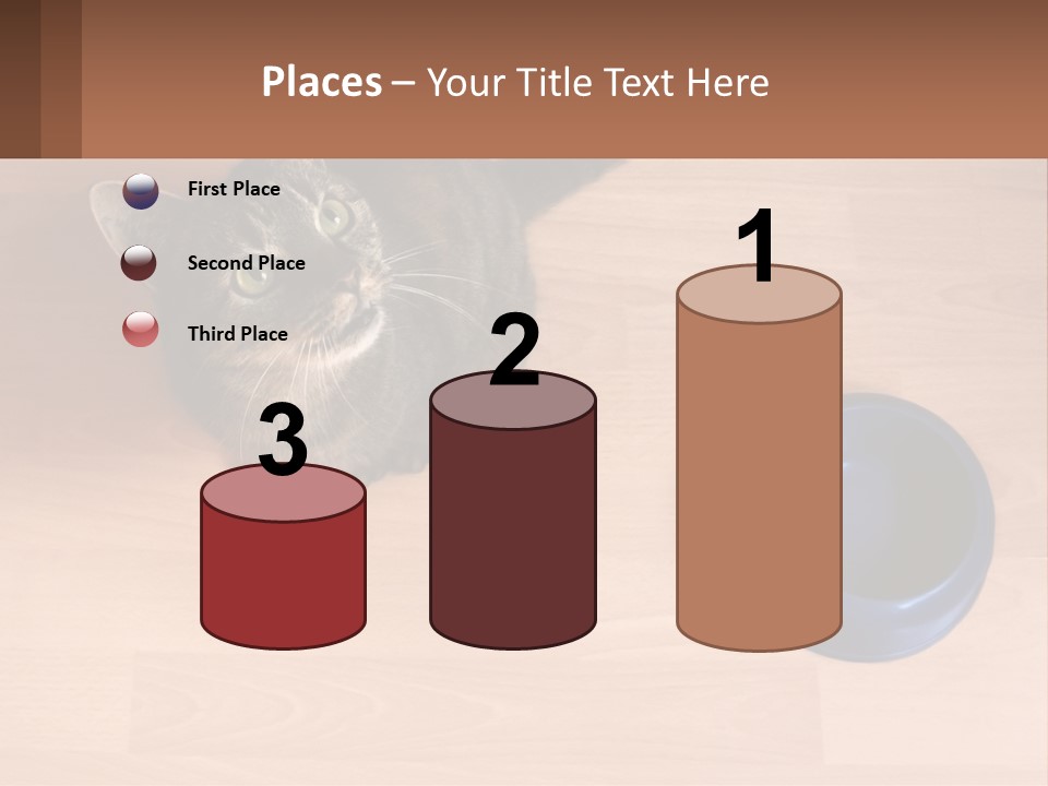 A Cat Sitting Next To A Blue Bowl On A Wooden Floor PowerPoint Template