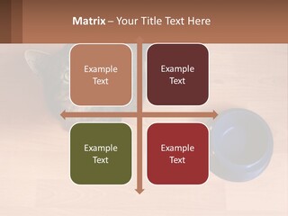 A Cat Sitting Next To A Blue Bowl On A Wooden Floor PowerPoint Template