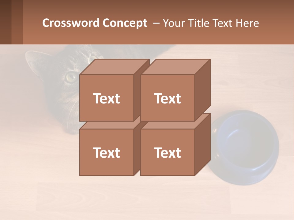 A Cat Sitting Next To A Blue Bowl On A Wooden Floor PowerPoint Template