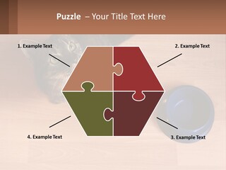 A Cat Sitting Next To A Blue Bowl On A Wooden Floor PowerPoint Template