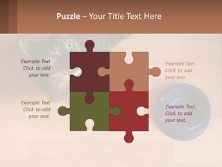 A Cat Sitting Next To A Blue Bowl On A Wooden Floor PowerPoint Template