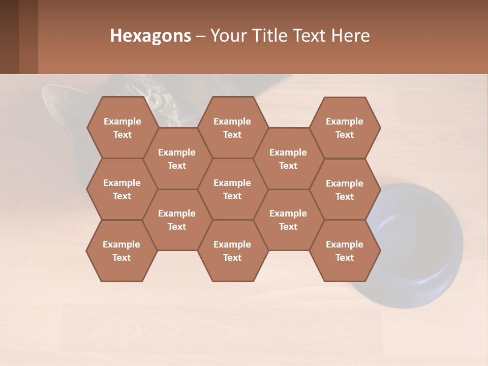 A Cat Sitting Next To A Blue Bowl On A Wooden Floor PowerPoint Template