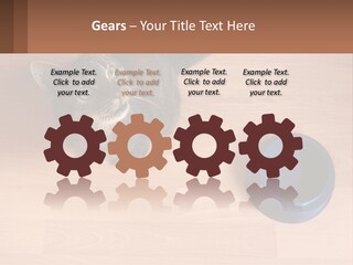 A Cat Sitting Next To A Blue Bowl On A Wooden Floor PowerPoint Template