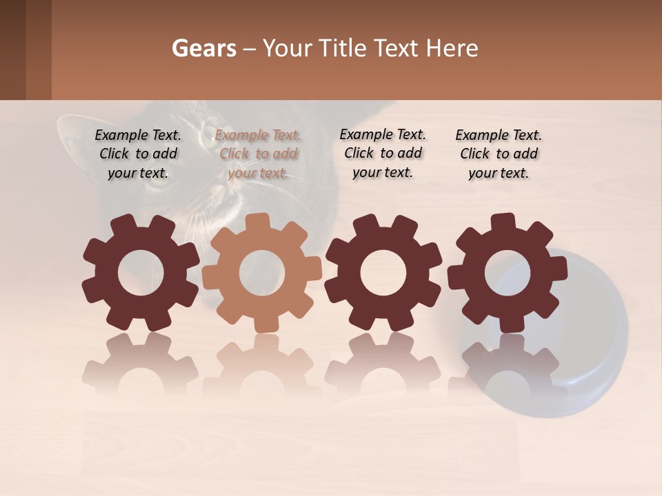 A Cat Sitting Next To A Blue Bowl On A Wooden Floor PowerPoint Template