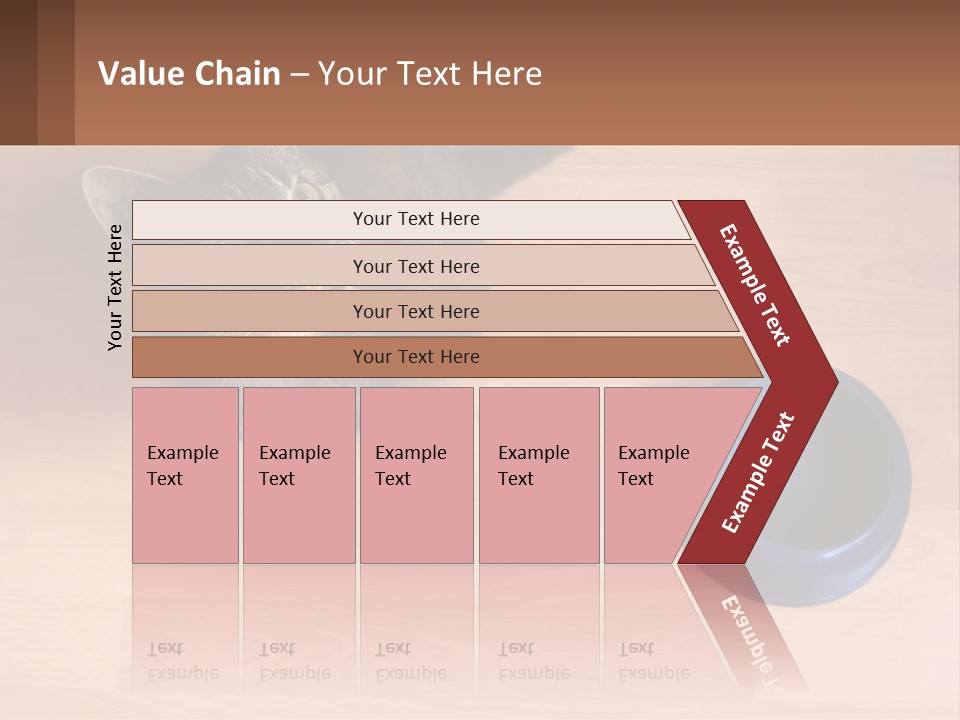 A Cat Sitting Next To A Blue Bowl On A Wooden Floor PowerPoint Template