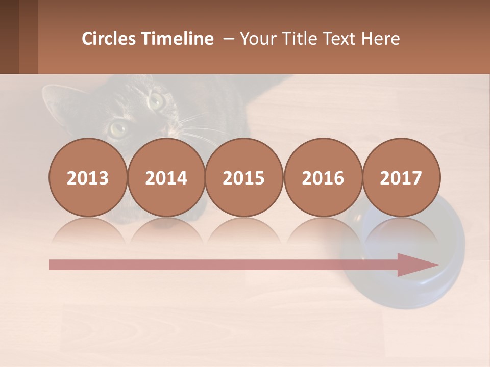 A Cat Sitting Next To A Blue Bowl On A Wooden Floor PowerPoint Template