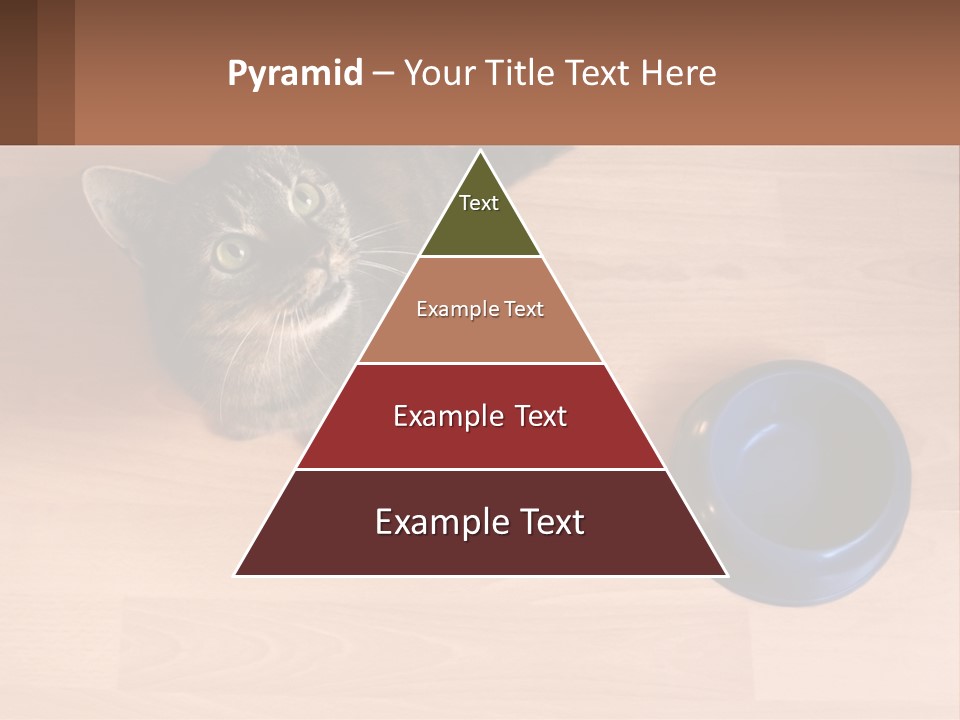 A Cat Sitting Next To A Blue Bowl On A Wooden Floor PowerPoint Template