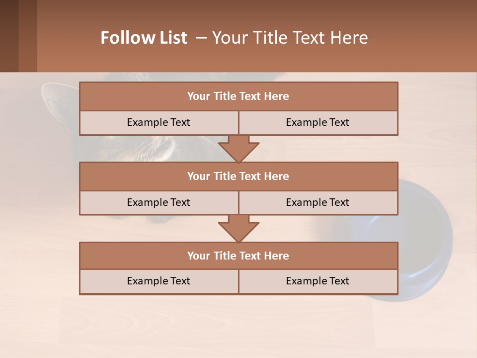 A Cat Sitting Next To A Blue Bowl On A Wooden Floor PowerPoint Template