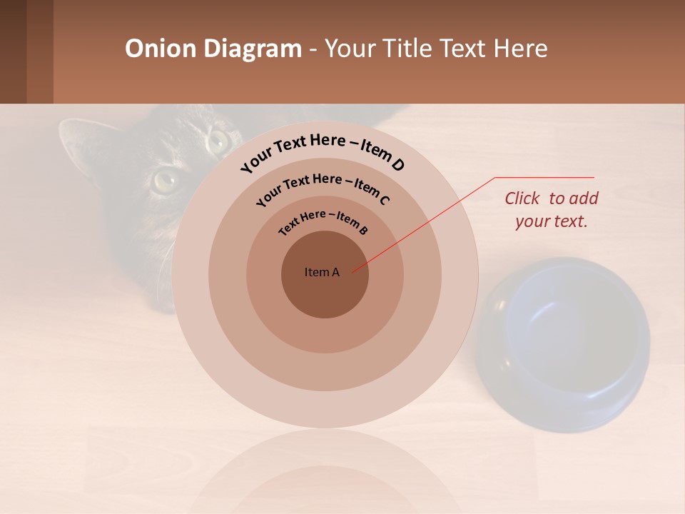 A Cat Sitting Next To A Blue Bowl On A Wooden Floor PowerPoint Template