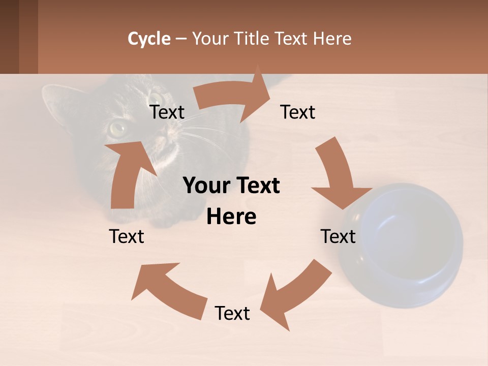 A Cat Sitting Next To A Blue Bowl On A Wooden Floor PowerPoint Template