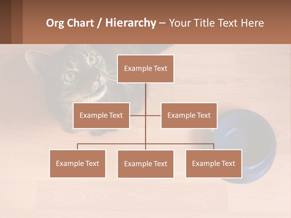 A Cat Sitting Next To A Blue Bowl On A Wooden Floor PowerPoint Template