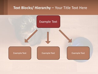 A Cat Sitting Next To A Blue Bowl On A Wooden Floor PowerPoint Template