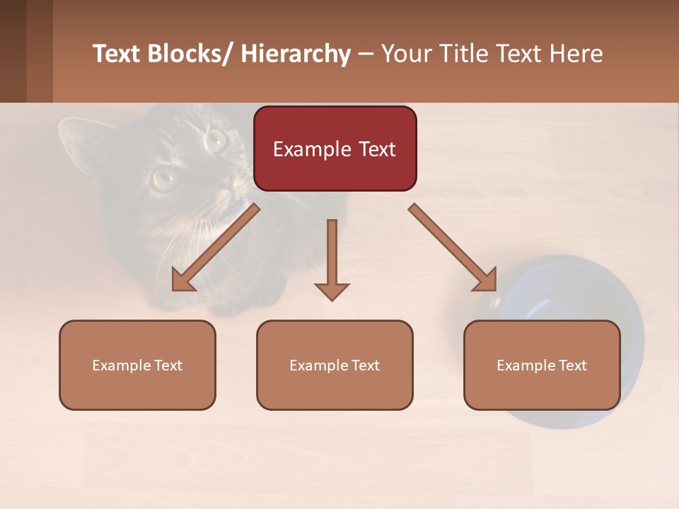 A Cat Sitting Next To A Blue Bowl On A Wooden Floor PowerPoint Template