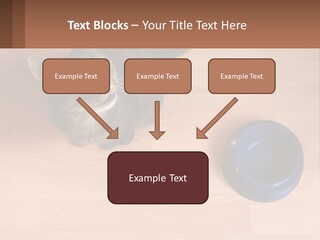 A Cat Sitting Next To A Blue Bowl On A Wooden Floor PowerPoint Template