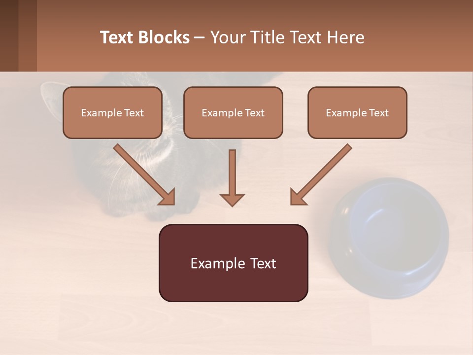 A Cat Sitting Next To A Blue Bowl On A Wooden Floor PowerPoint Template