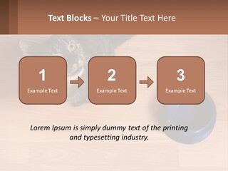 A Cat Sitting Next To A Blue Bowl On A Wooden Floor PowerPoint Template