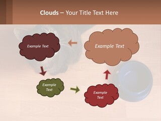 A Cat Sitting Next To A Blue Bowl On A Wooden Floor PowerPoint Template