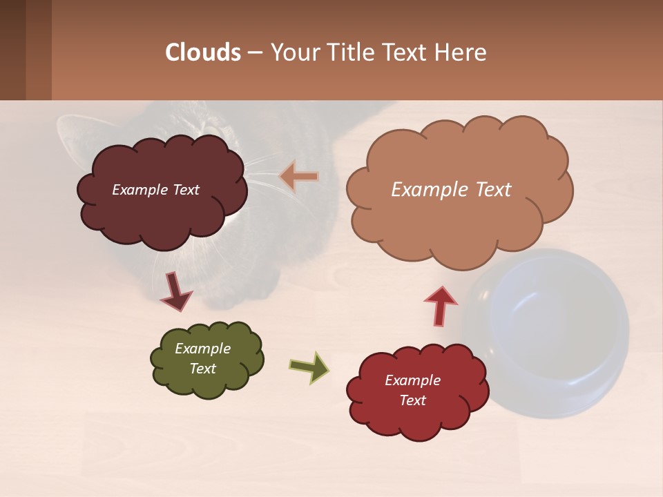 A Cat Sitting Next To A Blue Bowl On A Wooden Floor PowerPoint Template