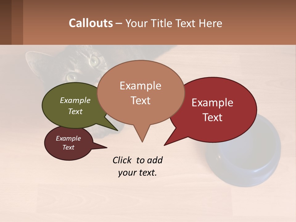 A Cat Sitting Next To A Blue Bowl On A Wooden Floor PowerPoint Template