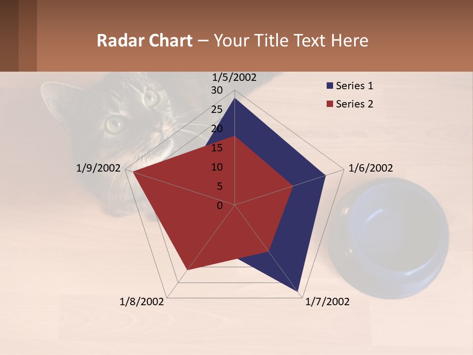 A Cat Sitting Next To A Blue Bowl On A Wooden Floor PowerPoint Template