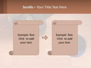 A Cat Sitting Next To A Blue Bowl On A Wooden Floor PowerPoint Template