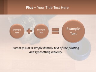 A Cat Sitting Next To A Blue Bowl On A Wooden Floor PowerPoint Template