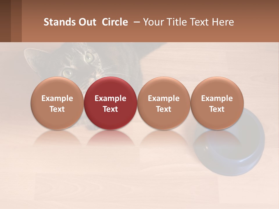A Cat Sitting Next To A Blue Bowl On A Wooden Floor PowerPoint Template
