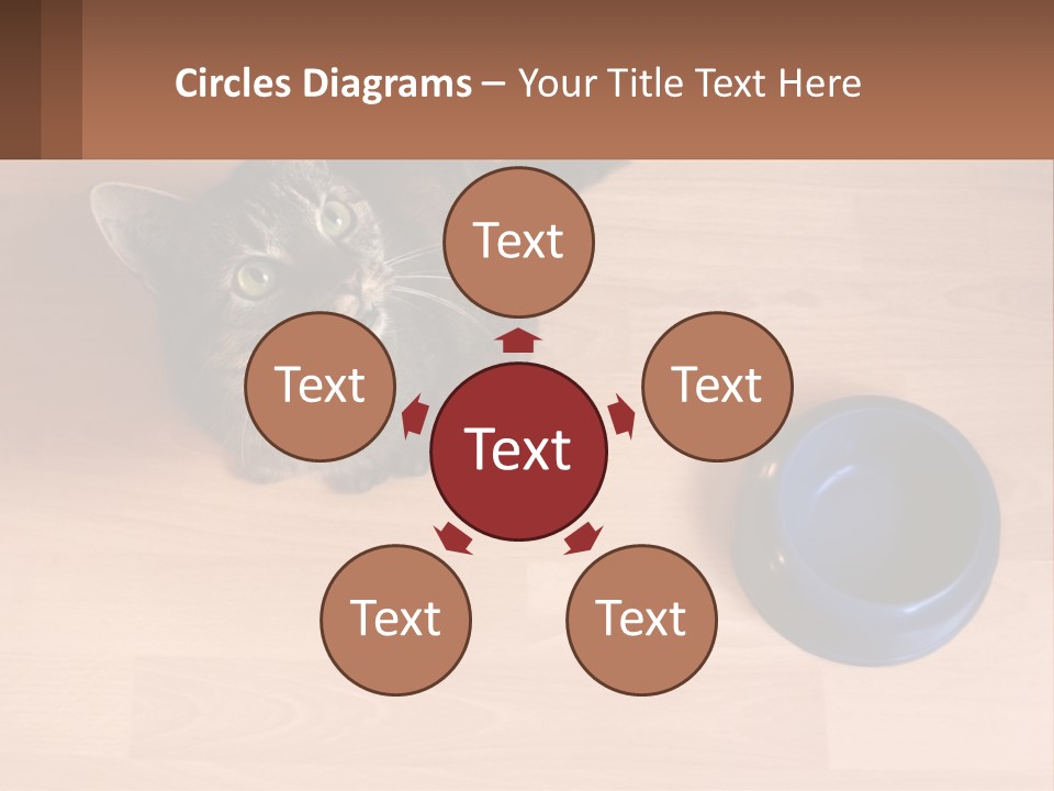 A Cat Sitting Next To A Blue Bowl On A Wooden Floor PowerPoint Template