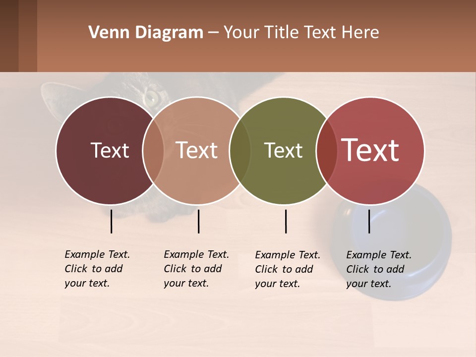 A Cat Sitting Next To A Blue Bowl On A Wooden Floor PowerPoint Template