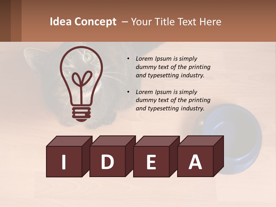 A Cat Sitting Next To A Blue Bowl On A Wooden Floor PowerPoint Template