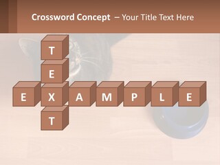 A Cat Sitting Next To A Blue Bowl On A Wooden Floor PowerPoint Template