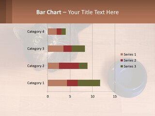 A Cat Sitting Next To A Blue Bowl On A Wooden Floor PowerPoint Template