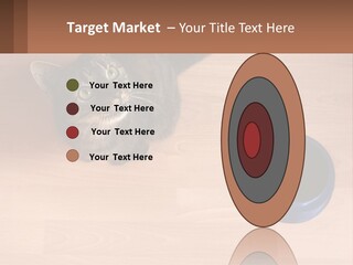 A Cat Sitting Next To A Blue Bowl On A Wooden Floor PowerPoint Template
