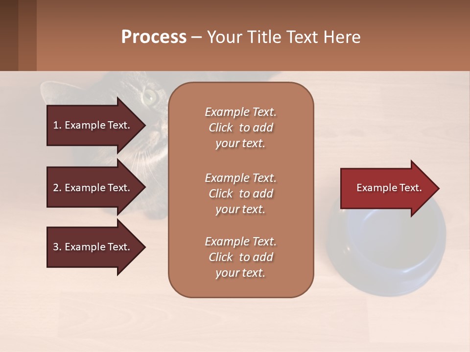 A Cat Sitting Next To A Blue Bowl On A Wooden Floor PowerPoint Template