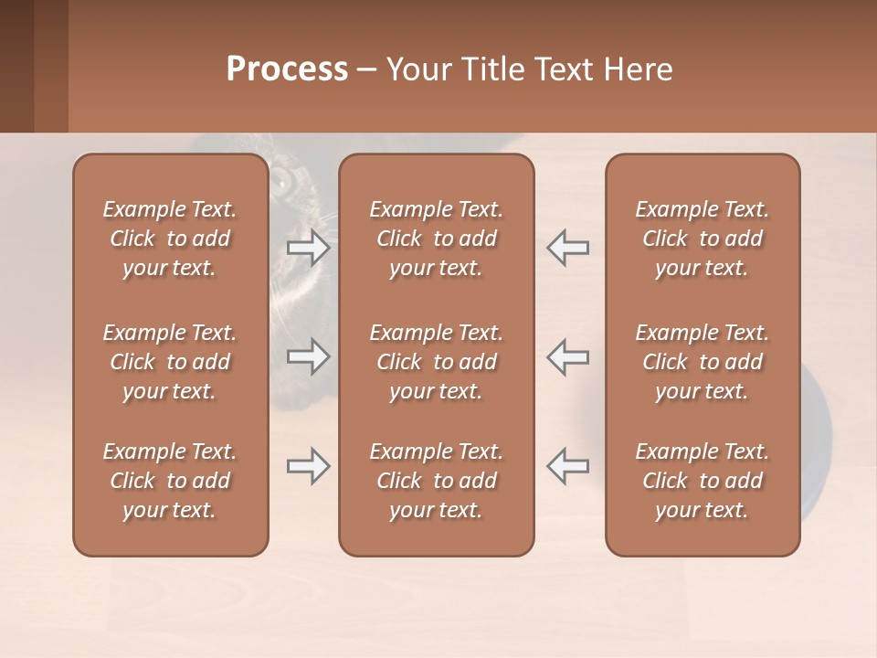 A Cat Sitting Next To A Blue Bowl On A Wooden Floor PowerPoint Template