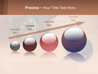 A Cat Sitting Next To A Blue Bowl On A Wooden Floor PowerPoint Template