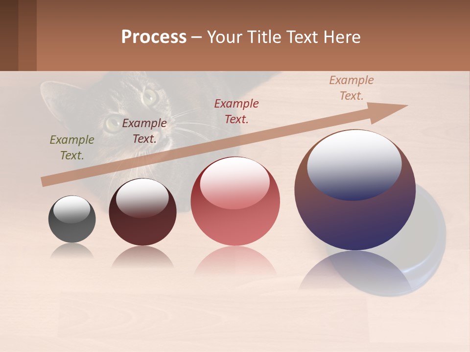 A Cat Sitting Next To A Blue Bowl On A Wooden Floor PowerPoint Template